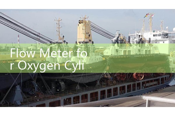 Flow Meter for Oxygen Cylinder Regulators: Medical Gas Flow Control and Delivery Sizing